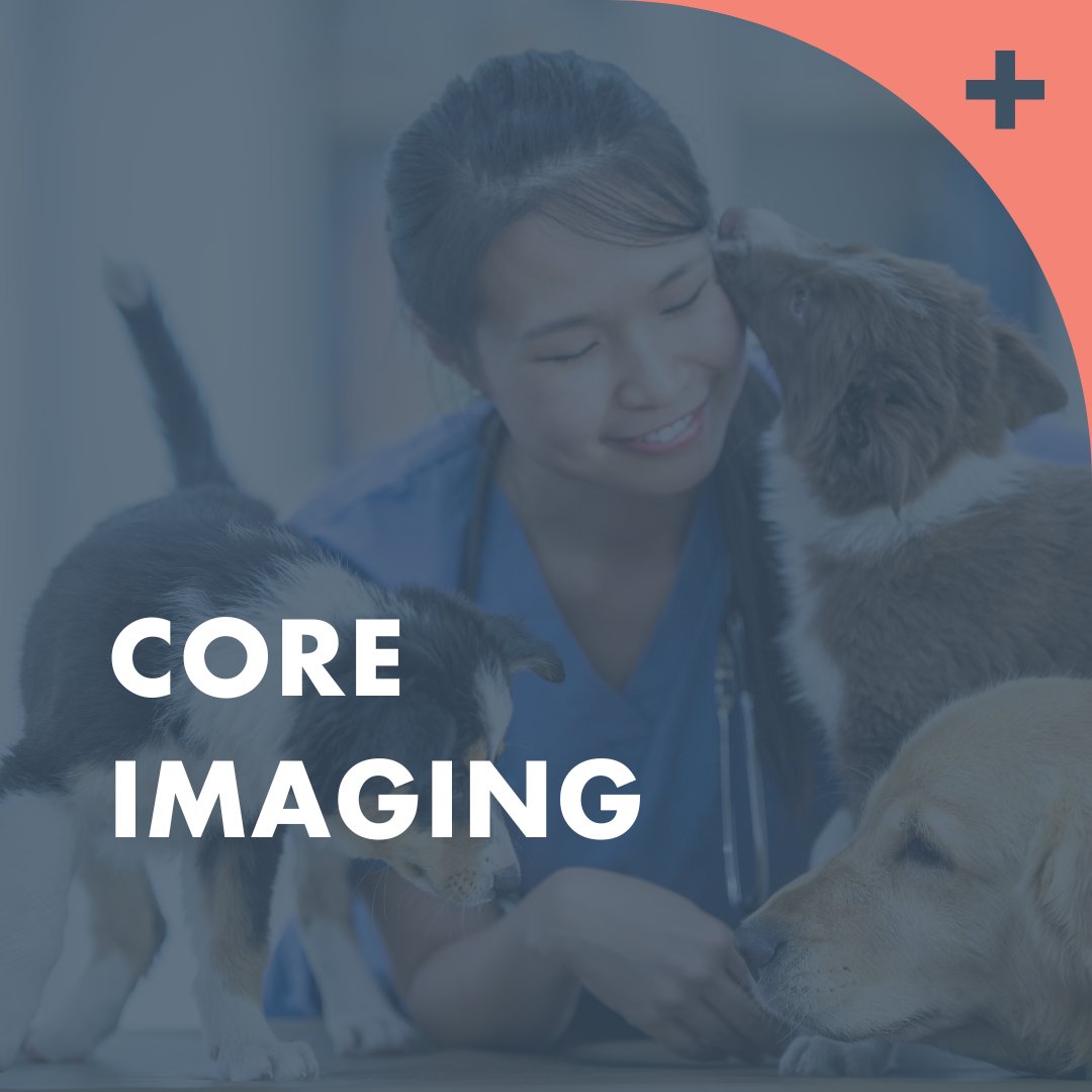 core imaging case studies